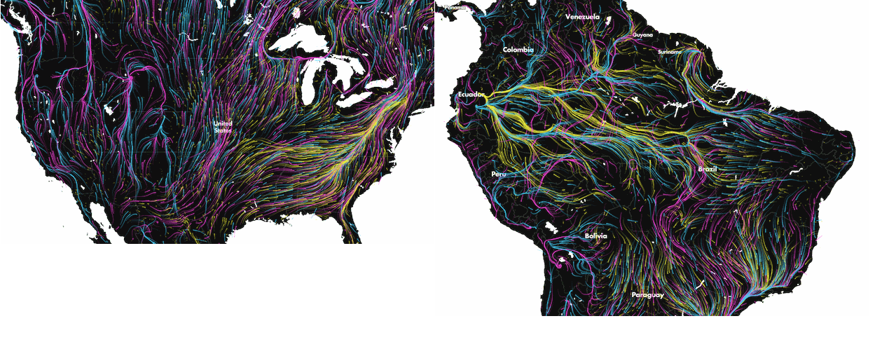 how-climate-change-will-affect-animal-migration-in-one-map-global-daily